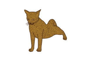 Abyssinian Cat Stretching Embroidery Design Review