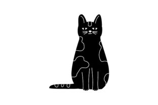 Black Cat Standing Embroidery Review