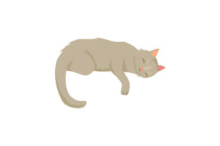 Cat Laying on Down with Paw Hanging Down