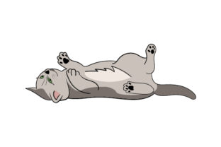 Cat Laying on Its Back Embroidery Design Review