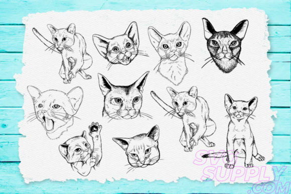 Cat Lineart Bundle Review for Embroidery Projects