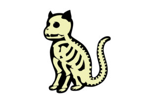 Cat Skeleton Embroidery Design Review