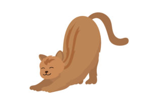 Cat Stretching Embroidery Design Review