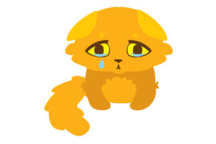 Fluffy Emotional Cat Crying Embroidery Design Review