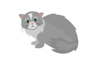 Gray Fluffy Emotional Cat Embroidery Review