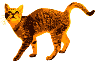 Pumpkin Cat Vectorized Cat Review
