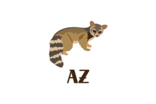 Ring-tailed Cat AZ Embroidery Design Review